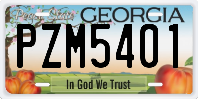 GA license plate PZM5401