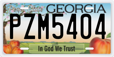 GA license plate PZM5404