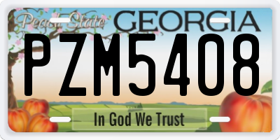 GA license plate PZM5408