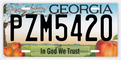 GA license plate PZM5420