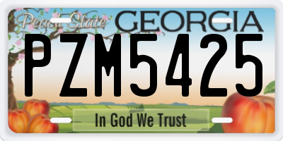 GA license plate PZM5425