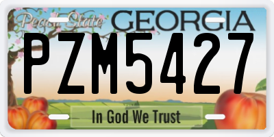 GA license plate PZM5427