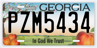 GA license plate PZM5434