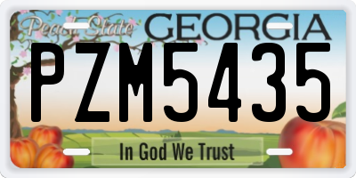 GA license plate PZM5435