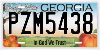 GA license plate PZM5438