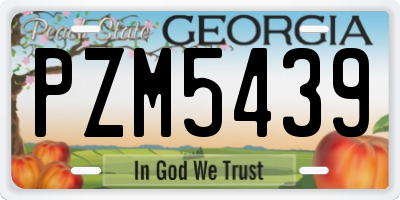 GA license plate PZM5439