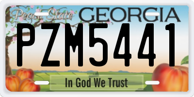 GA license plate PZM5441