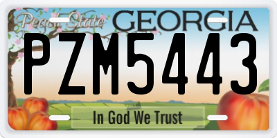 GA license plate PZM5443