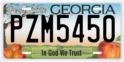 GA license plate PZM5450