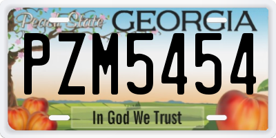 GA license plate PZM5454