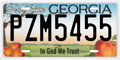 GA license plate PZM5455