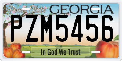 GA license plate PZM5456