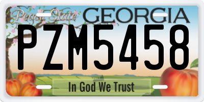 GA license plate PZM5458