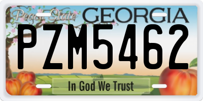 GA license plate PZM5462