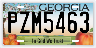 GA license plate PZM5463