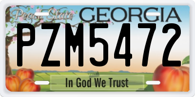 GA license plate PZM5472