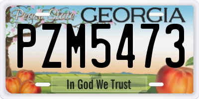 GA license plate PZM5473