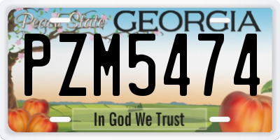 GA license plate PZM5474