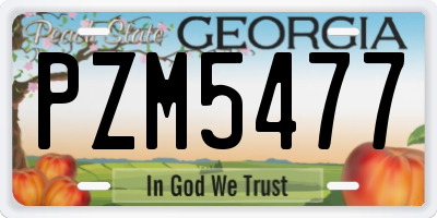 GA license plate PZM5477