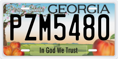 GA license plate PZM5480