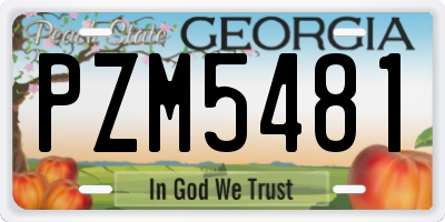 GA license plate PZM5481