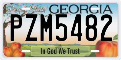 GA license plate PZM5482