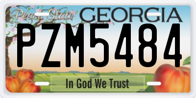 GA license plate PZM5484