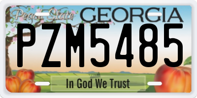GA license plate PZM5485