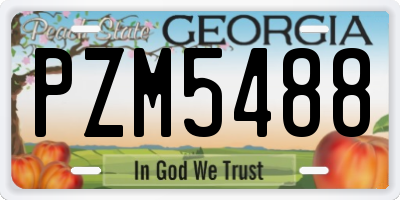 GA license plate PZM5488