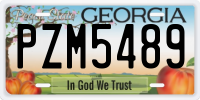 GA license plate PZM5489