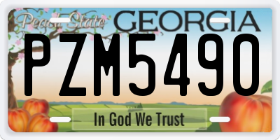 GA license plate PZM5490