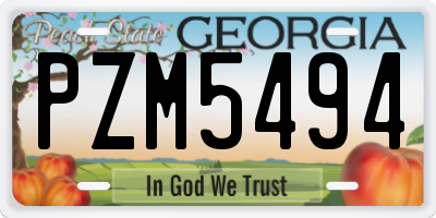 GA license plate PZM5494