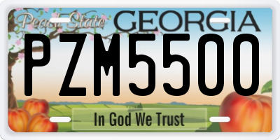 GA license plate PZM5500