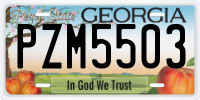 GA license plate PZM5503