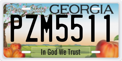 GA license plate PZM5511