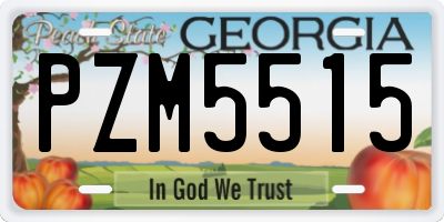 GA license plate PZM5515