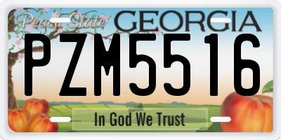 GA license plate PZM5516