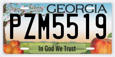 GA license plate PZM5519