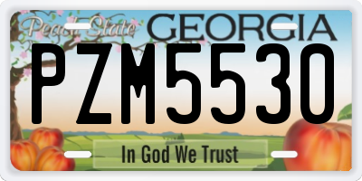 GA license plate PZM5530