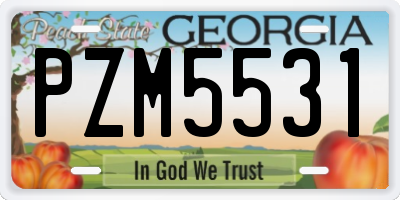 GA license plate PZM5531