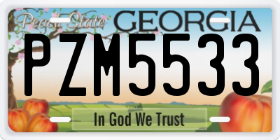 GA license plate PZM5533