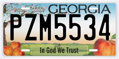 GA license plate PZM5534