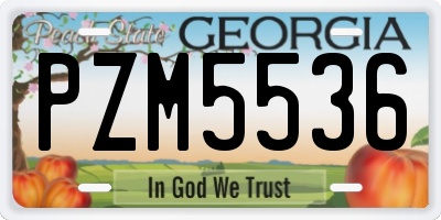 GA license plate PZM5536