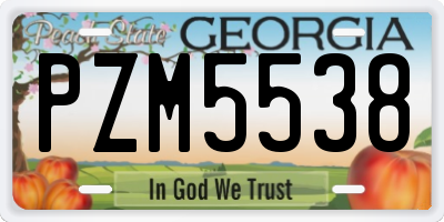 GA license plate PZM5538