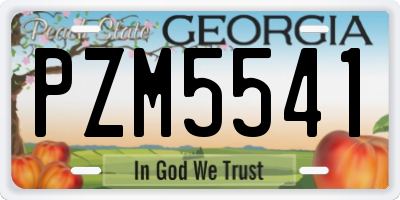 GA license plate PZM5541