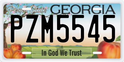 GA license plate PZM5545