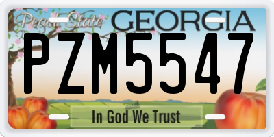 GA license plate PZM5547