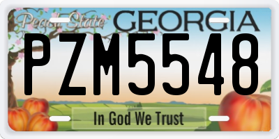 GA license plate PZM5548