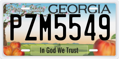 GA license plate PZM5549