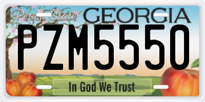 GA license plate PZM5550